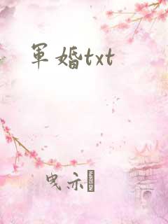 军婚txt