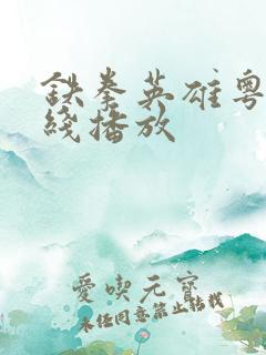 铁拳英雄粤语在线播放