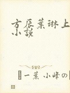 方辰叶琳上官步小说