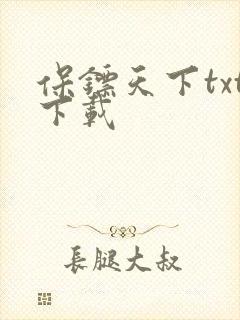 保镖天下txt下载