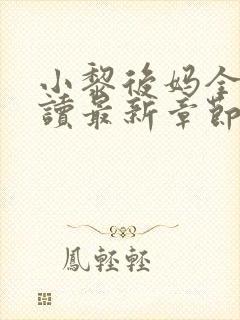 小黎后妈全文阅读最新章节