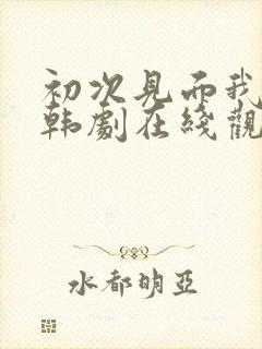 初次见面我爱你韩剧在线观看免费高清