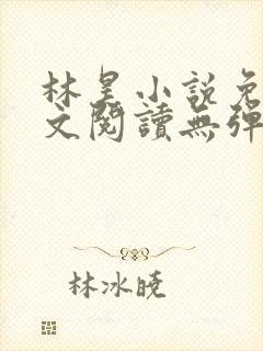 林昊小说免费全文阅读无弹窗