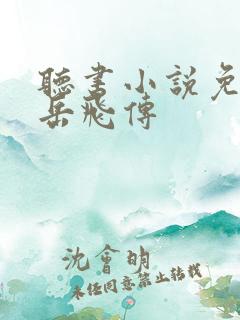 听书小说免费听岳飞传