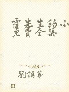 霍先生的小祖宗免费全集