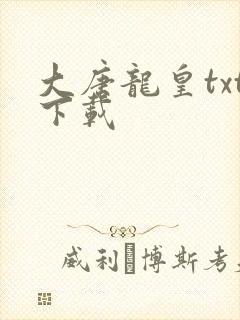 大唐龙皇txt下载