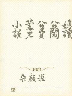 小莹公公媳妇小说免费阅读