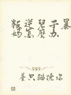 叛逆儿子暴躁老妈怎么办