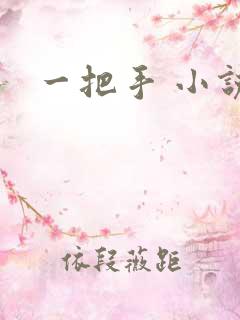 一把手 小说