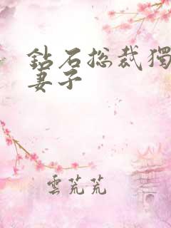 钻石总裁独宠小妻子