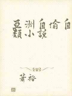 亚洲自偷自拍另类小说