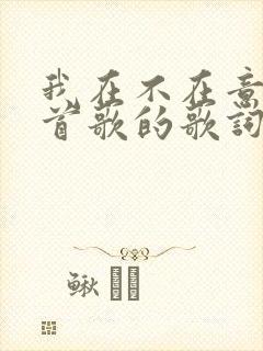 我在不在意是哪首歌的歌词
