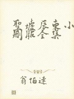 圣墟辰东小说未删版全集