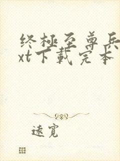 终极至尊兵王txt下载完本