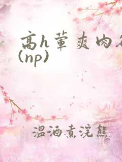 高h荤爽肉欲文(np)