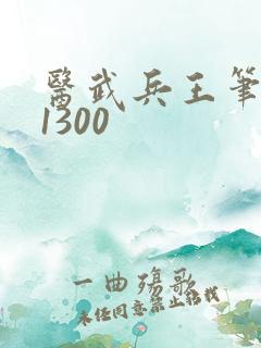医武兵王笔趣阁1300