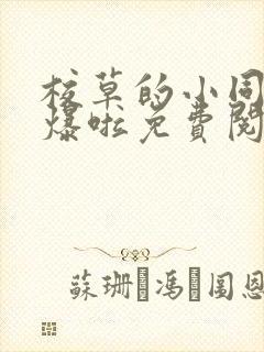 校草的小同桌撩爆啦免费阅读