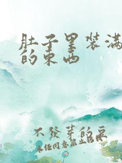 肚子里装满了他的东西