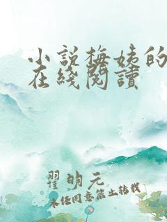 小说梅姨的秘密在线阅读