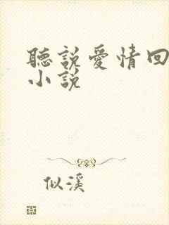 听说爱情回来过小说