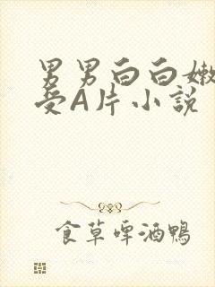 男男白白嫩嫩小受A片小说