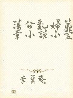 荡公乱妇第51章小说小莹