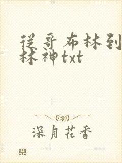 从哥布林到哥布林神txt