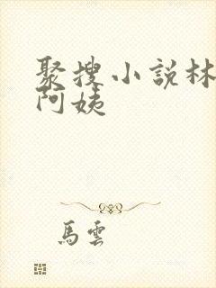 聚搜小说林天吴阿姨