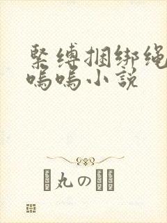 紧缚捆绑绳高潮呜呜小说