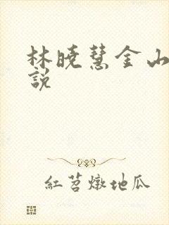 林晓慧金山的小说