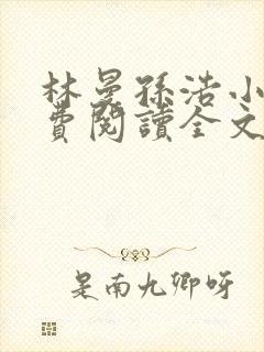 林曼孙浩小说免费阅读全文最新章节