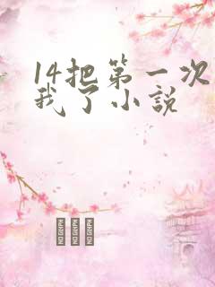 14把第一次给我了小说