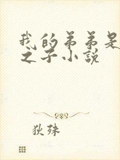 我的弟弟是天选之子小说