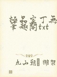 极品家丁无删节笔趣阁txt