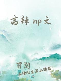 高辣 np文