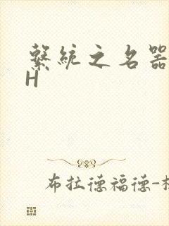 系统之名器勾男H