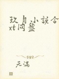 玖月小说合集txt网盘