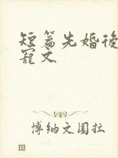 短篇先婚后爱甜宠文