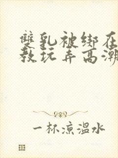 双乳被绑在床调教玩弄高潮小说