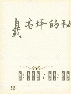 月亮坪的秘密下载