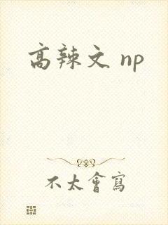 高辣文 np