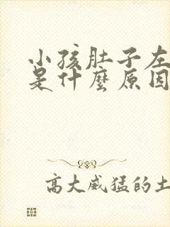 小孩肚子左侧疼是什么原因引起的