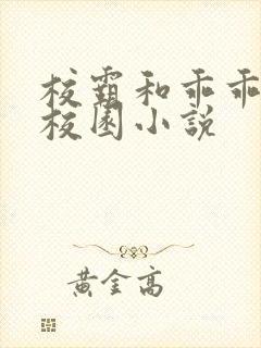 校霸和乖乖女的校园小说