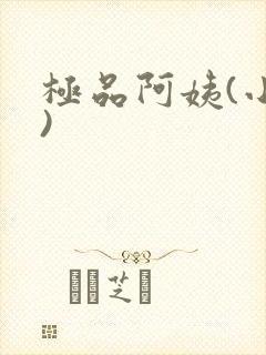 极品阿姨(小说)