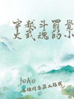 穿越斗罗觉醒异火武魂的小说