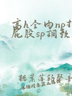 高h全肉np打屁股sp调教