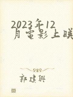 2023年12月电影上映一览表