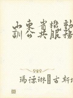 山东省机动车培训公共服务平台