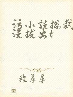 污小说总裁整夜没拔出t