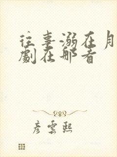 往事溺在月光短剧在那看